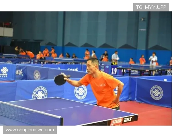 成都乒乓球队快攻技战术解析与深度剖析乒乓球运动的魅力与挑战